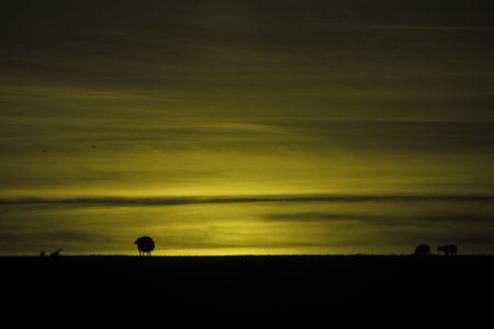 Zo zie ik het ongeveer